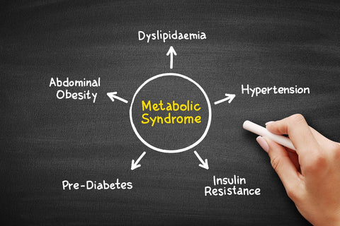 Insulin Resistance, Glucose Intolerance, and Metabolic Syndrome - WiO SmartFoods