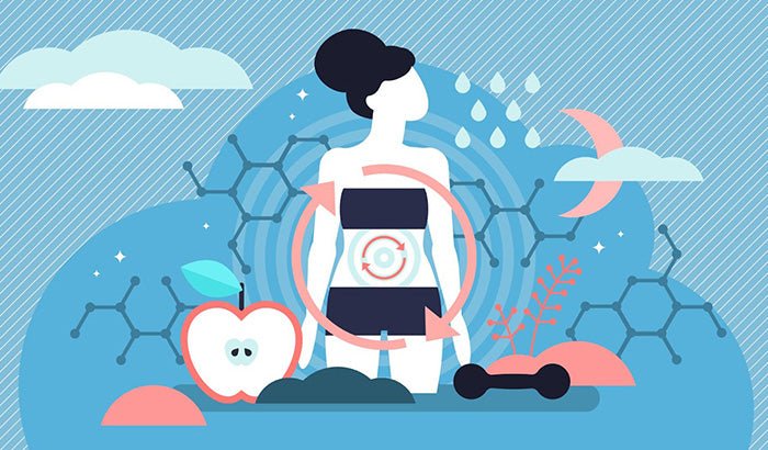 Understanding Metabolic Syndrome: Causes, Consequences, and Prevention - WiO SmartFoods