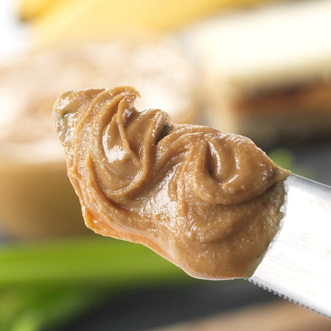 Healthy Nut Creamy Peanut Butter - WiO Diet